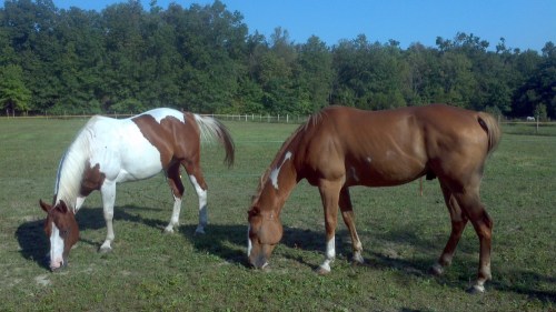 2012-09-13_16-19-30_590