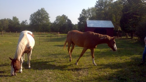 2012-09-13_16-19-46_599