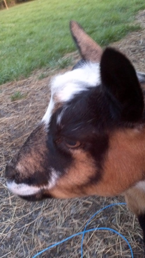 2012-09-20_19-07-31_854