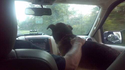 2012-09-22_16-49-37_324