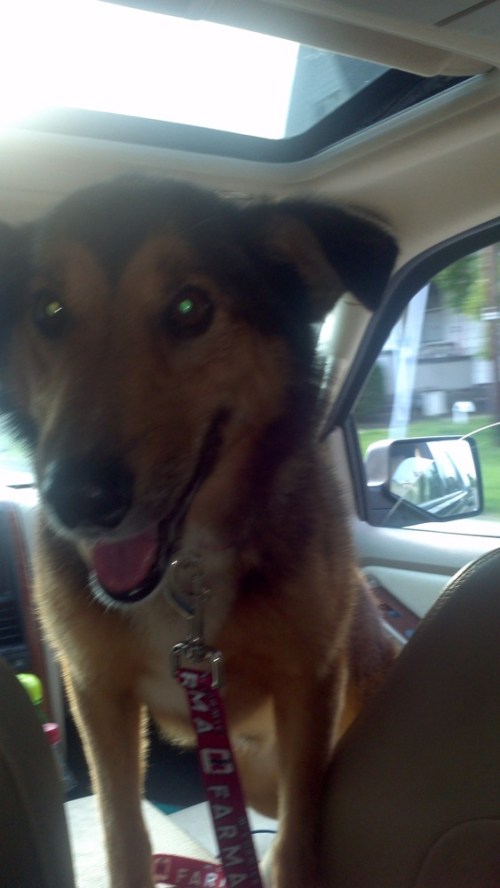 2012-09-22_16-52-29_472