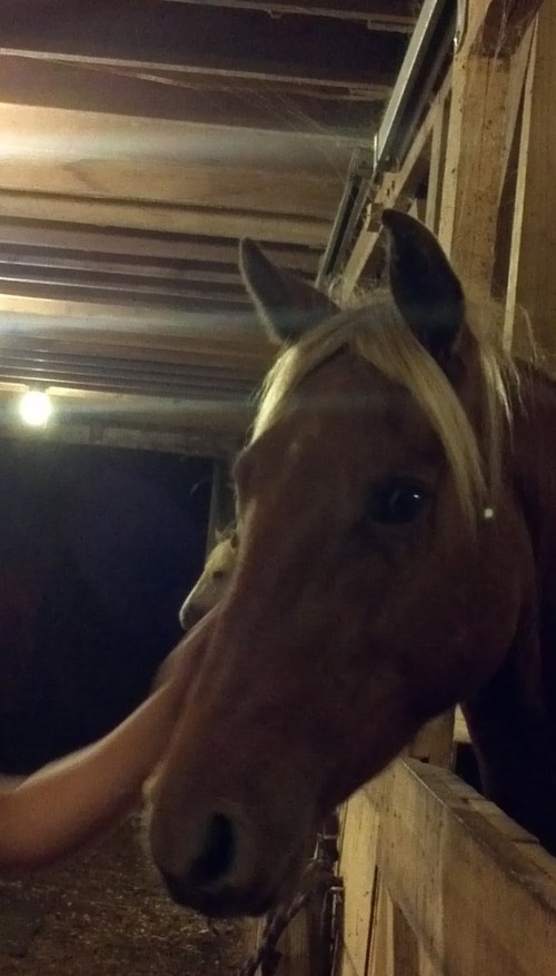 2012-10-02_22-50-31_412