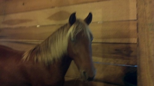 2012-10-03_07-50-10_450