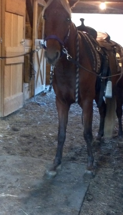 2012-10-04_18-14-48_93