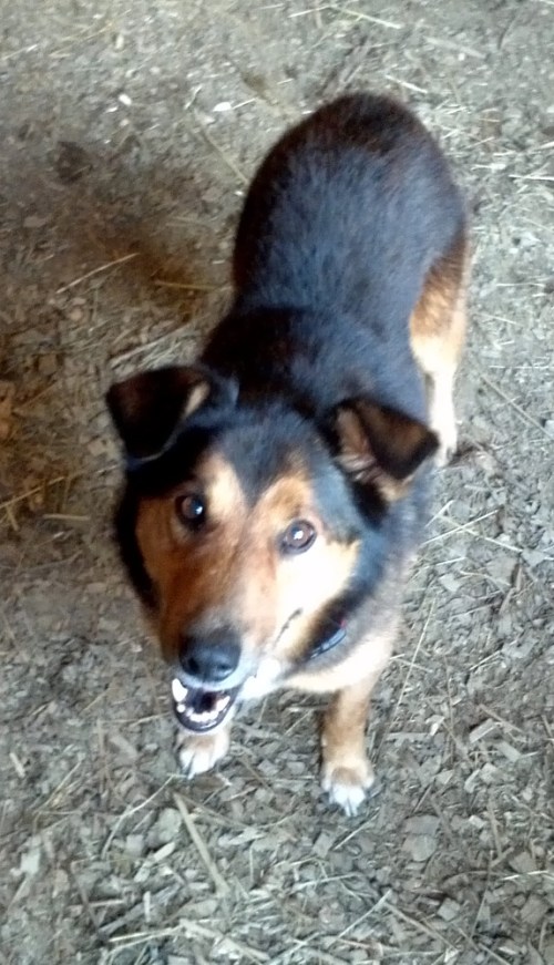 2012-10-04_18-15-38_333