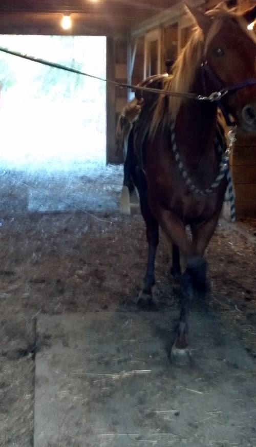 2012-10-04_18-15-44_620