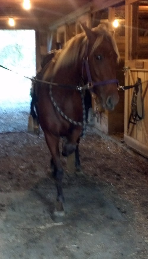 2012-10-04_18-15-50_412