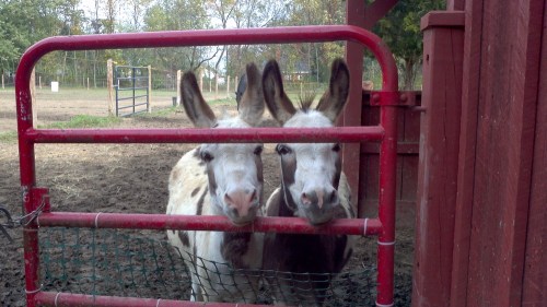 2012-10-06_10-17-44_792