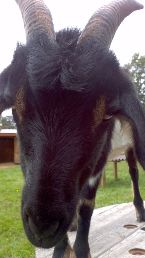 2012-10-06_10-51-48_360