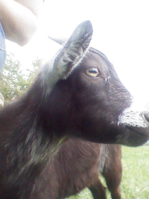 2012-10-06_10-52-08_397