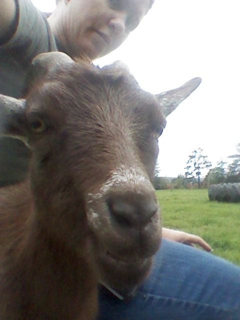 2012-10-06_10-52-45_233