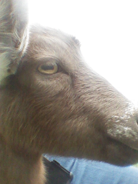 2012-10-06_10-53-07_27