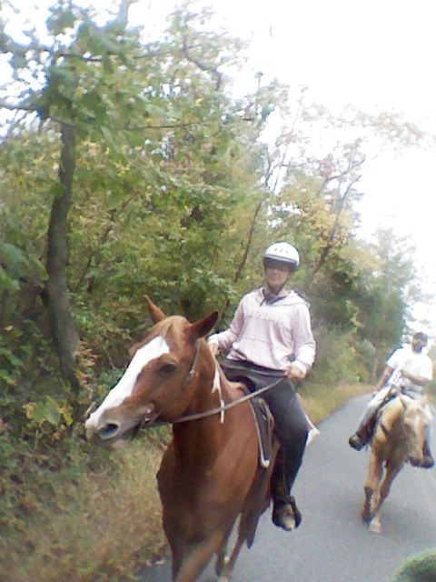 2012-10-06_15-12-36_243