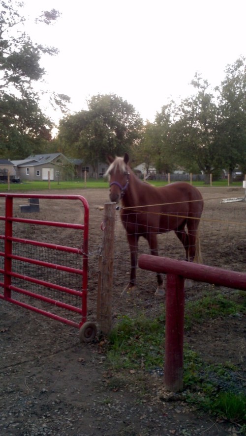 2012-10-06_18-32-45_249