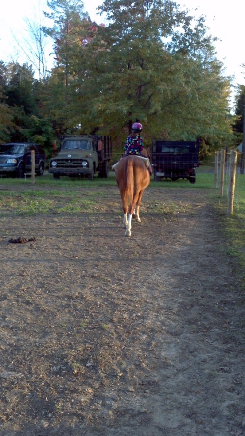 2012-10-17_17-33-26_91