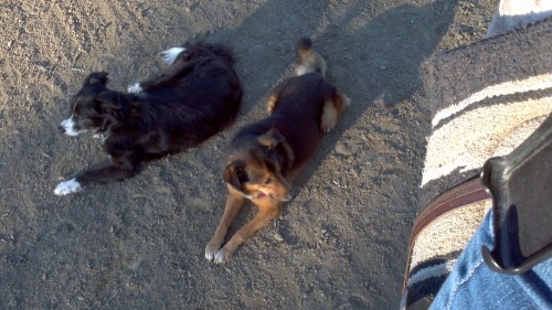 2012-10-21_16-50-49_452