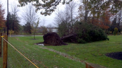 2012-10-30_09-21-03_467