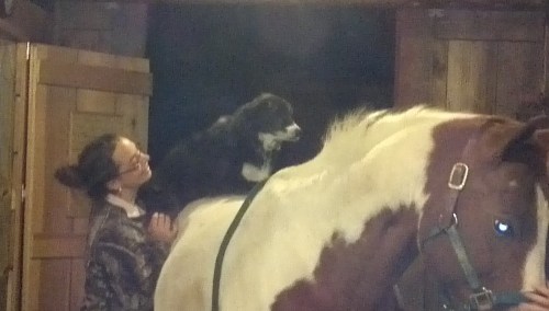 2012-11-09_17-34-47_890