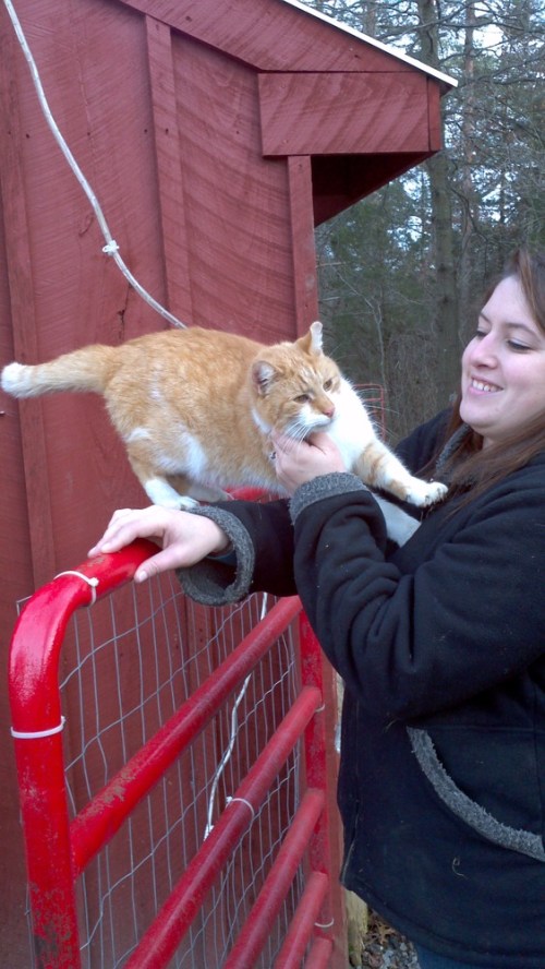 2012-12-15_13-50-54_839