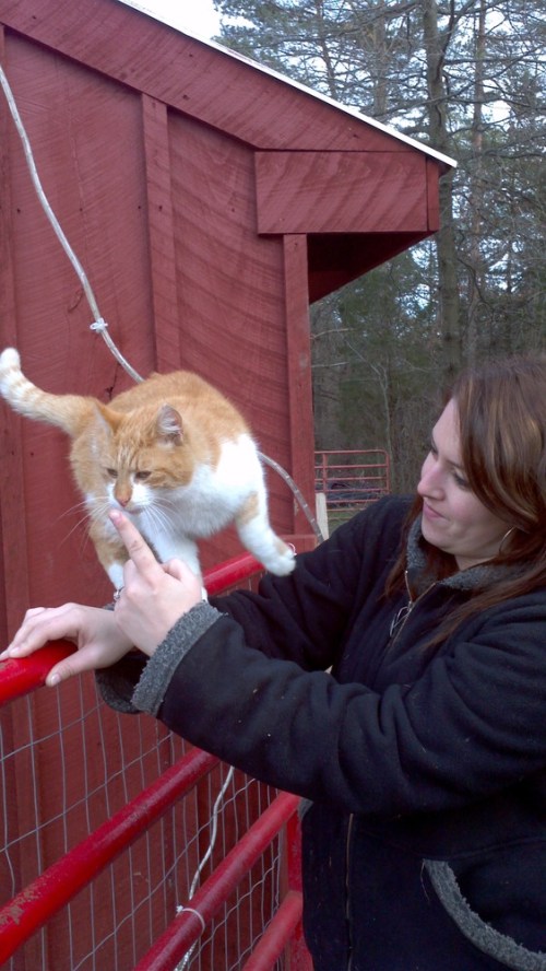 2012-12-15_13-51-25_736