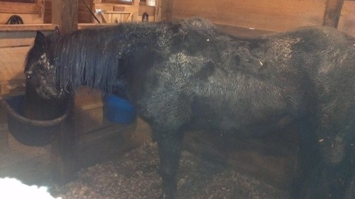 2012-12-16_09-41-31_217