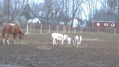 2012-12-16_09-41-54_846