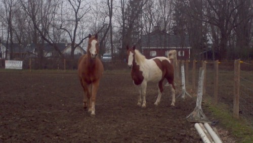 2012-12-16_12-10-44_50