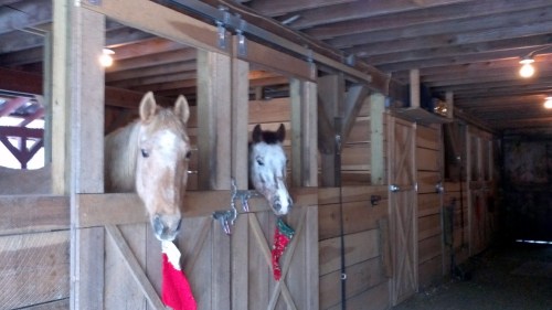 2012-12-25_08-14-48_662