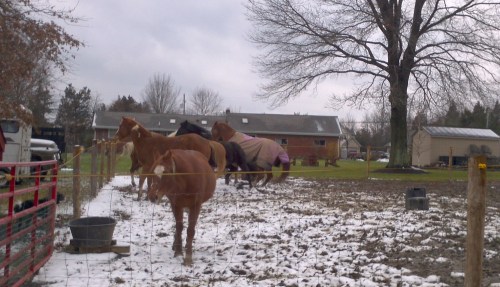 2012-12-25_12-08-22_632