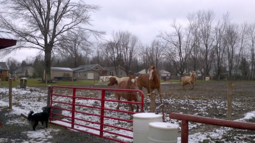 2012-12-25_12-09-36_119