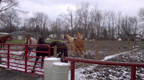 2012-12-25_12-09-48_726