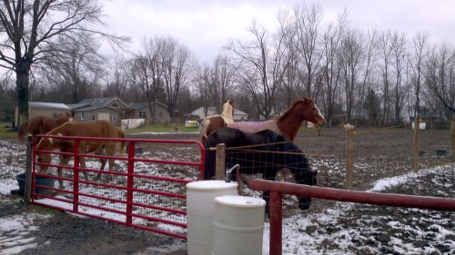 2012-12-25_12-09-59_712