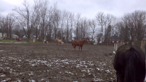 2012-12-25_12-11-27_168