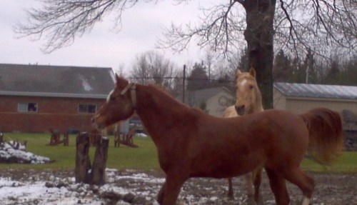 2012-12-25_12-11-37_506