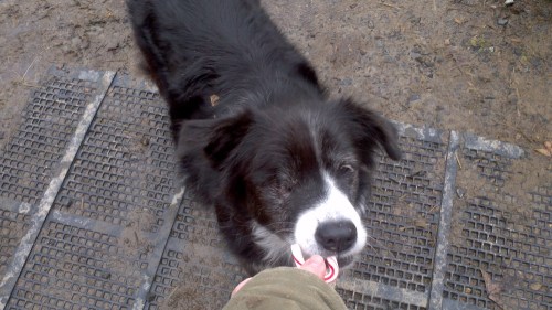 2012-12-25_13-07-38_61