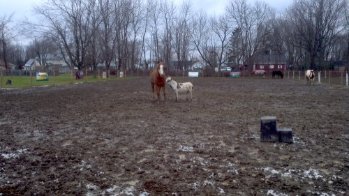 2012-12-25_13-24-51_380