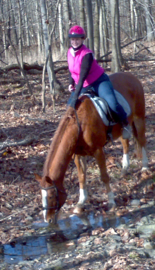 2012-12-28_12-18-33_744