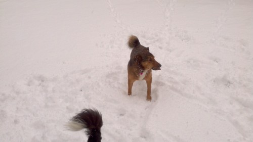 2012-12-29_15-35-43_331