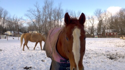 2012-12-30_14-39-38_736