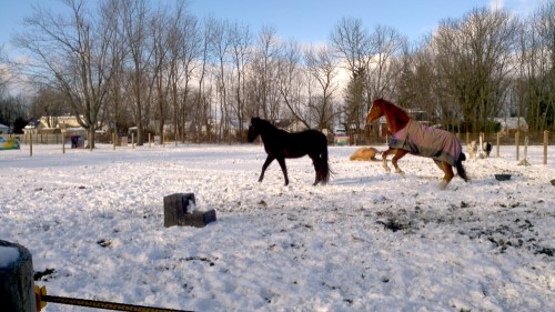 2012-12-30_14-40-48_390