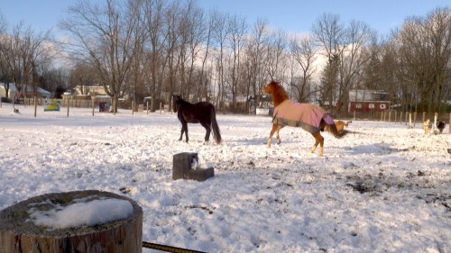 2012-12-30_14-40-51_180