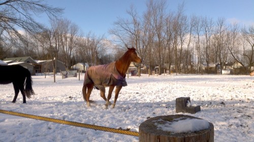 2012-12-30_14-41-14_890