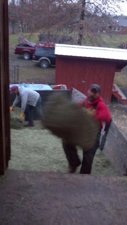 2013-01-29_17-02-46_519