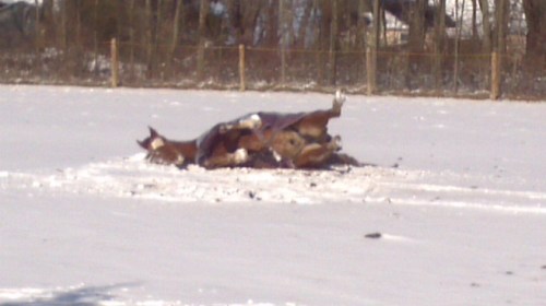 2013-02-09_12-52-30_712