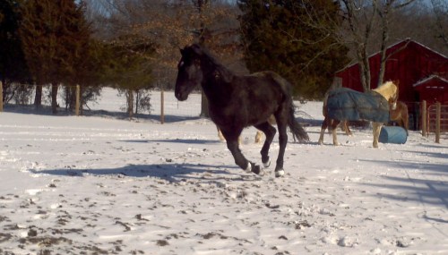 2013-02-09_12-53-07_459