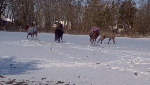 2013-02-09_12-53-12_35