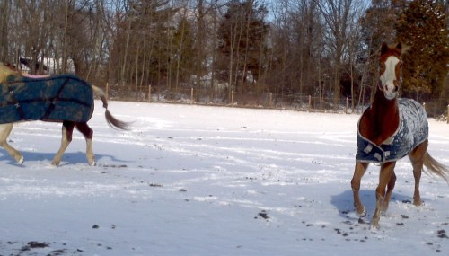 2013-02-09_12-53-16_258