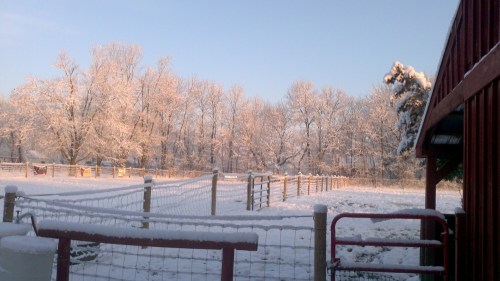 2013-02-14_07-32-56_337