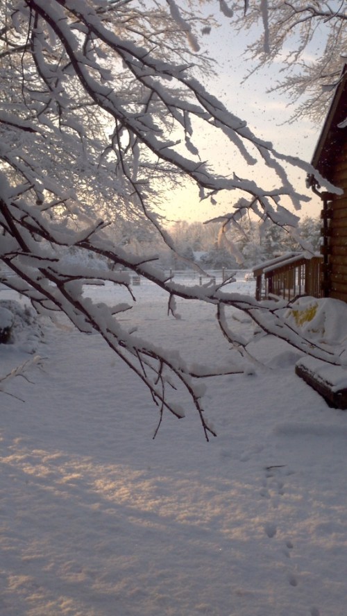 2013-02-14_07-52-41_682