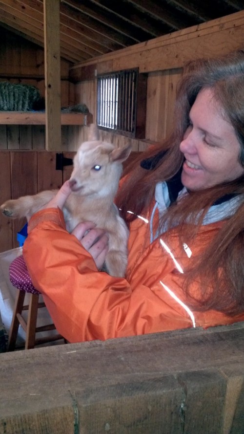 2013-02-23_13-28-57_522